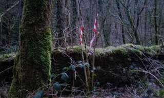 Terrain  6175 m² à vendre à Grange-de-Vaivre (39600)
