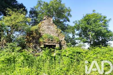 Terrain  50000 €