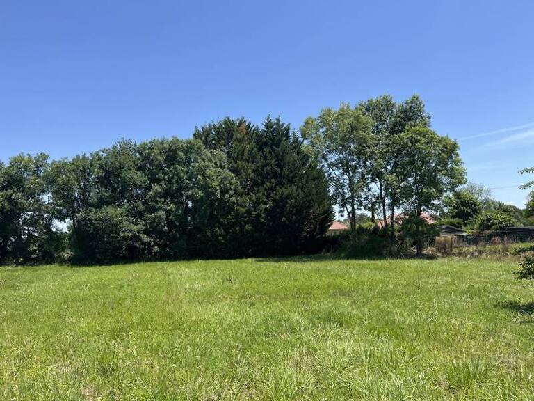 Terrain à construire  1077 m²  — photo 1