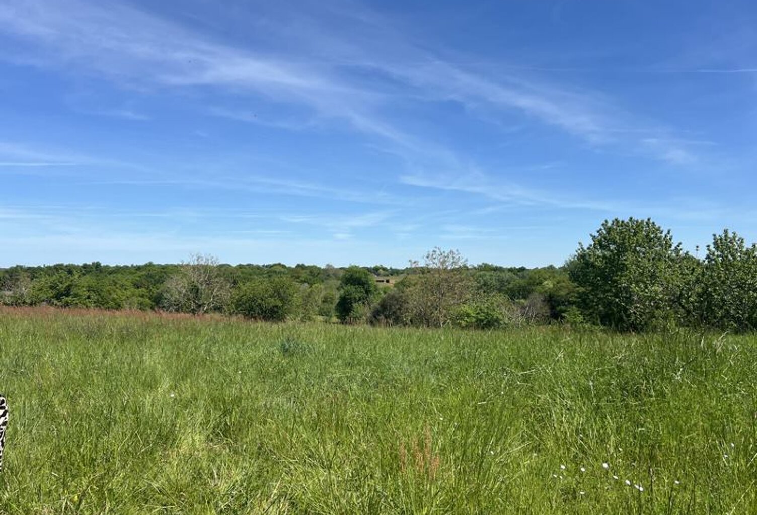 Terrain à bâtir de 0 pièces principales — photo 1
