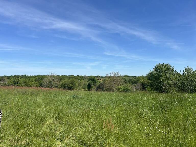 Terrain à bâtir de 0 pièces principales — photo 1