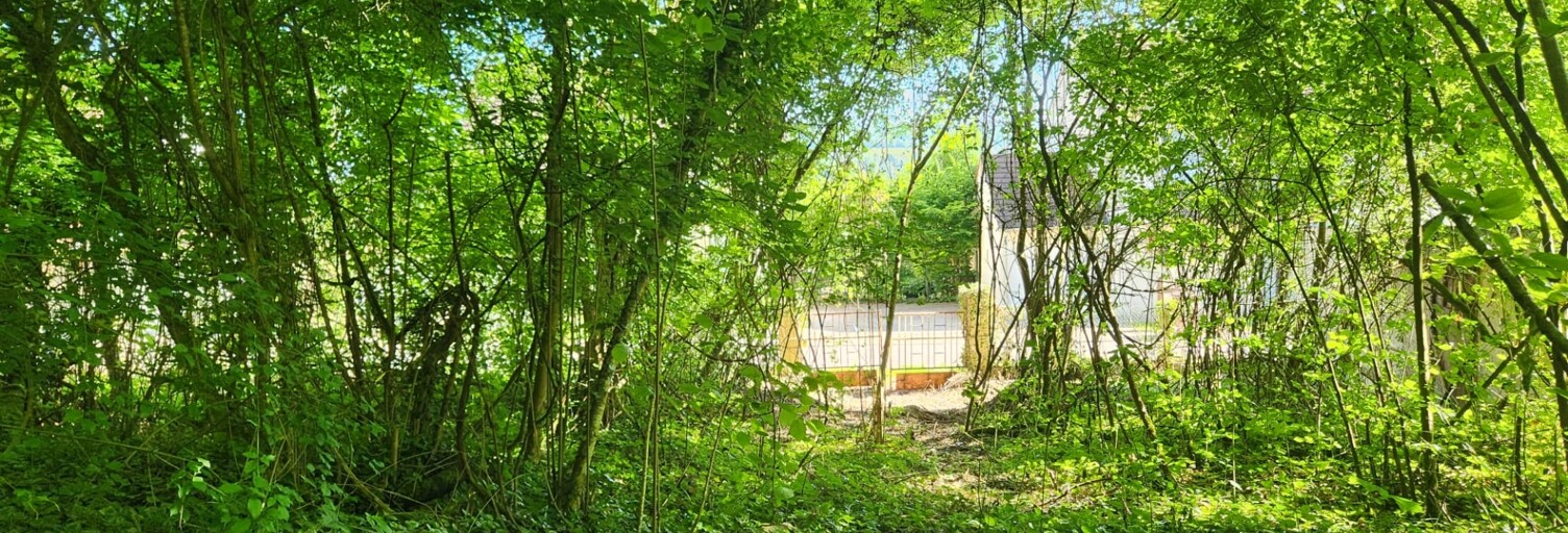 Terrain  1046 m² à vendre à Maule (78580)