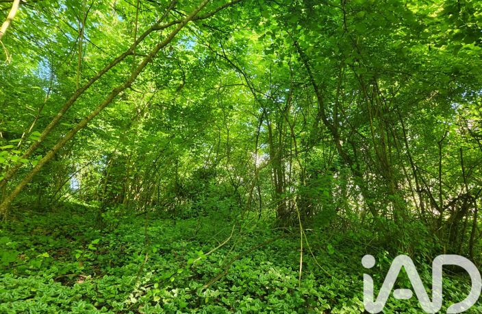 Vente Terrain 1 046 m&sup2; — photo 4