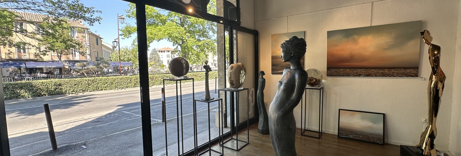 Commerce  50 m² à vendre à L'Isle-sur-la-Sorgue (84800)