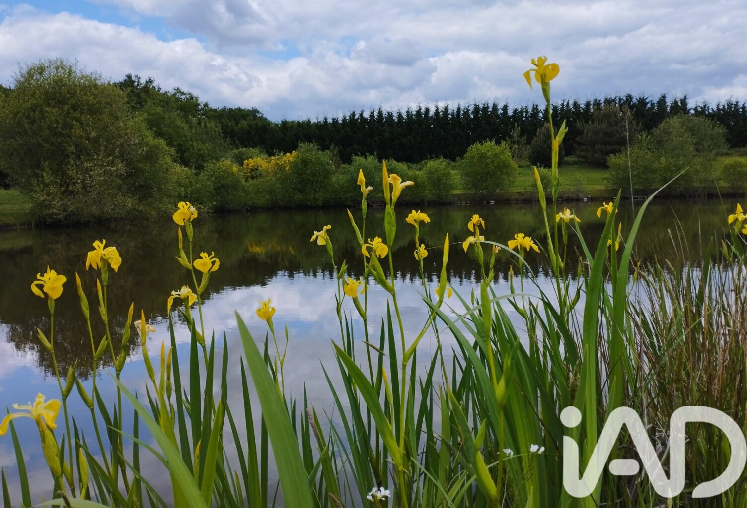Vente Maison de campagne 4 pièces — photo 1