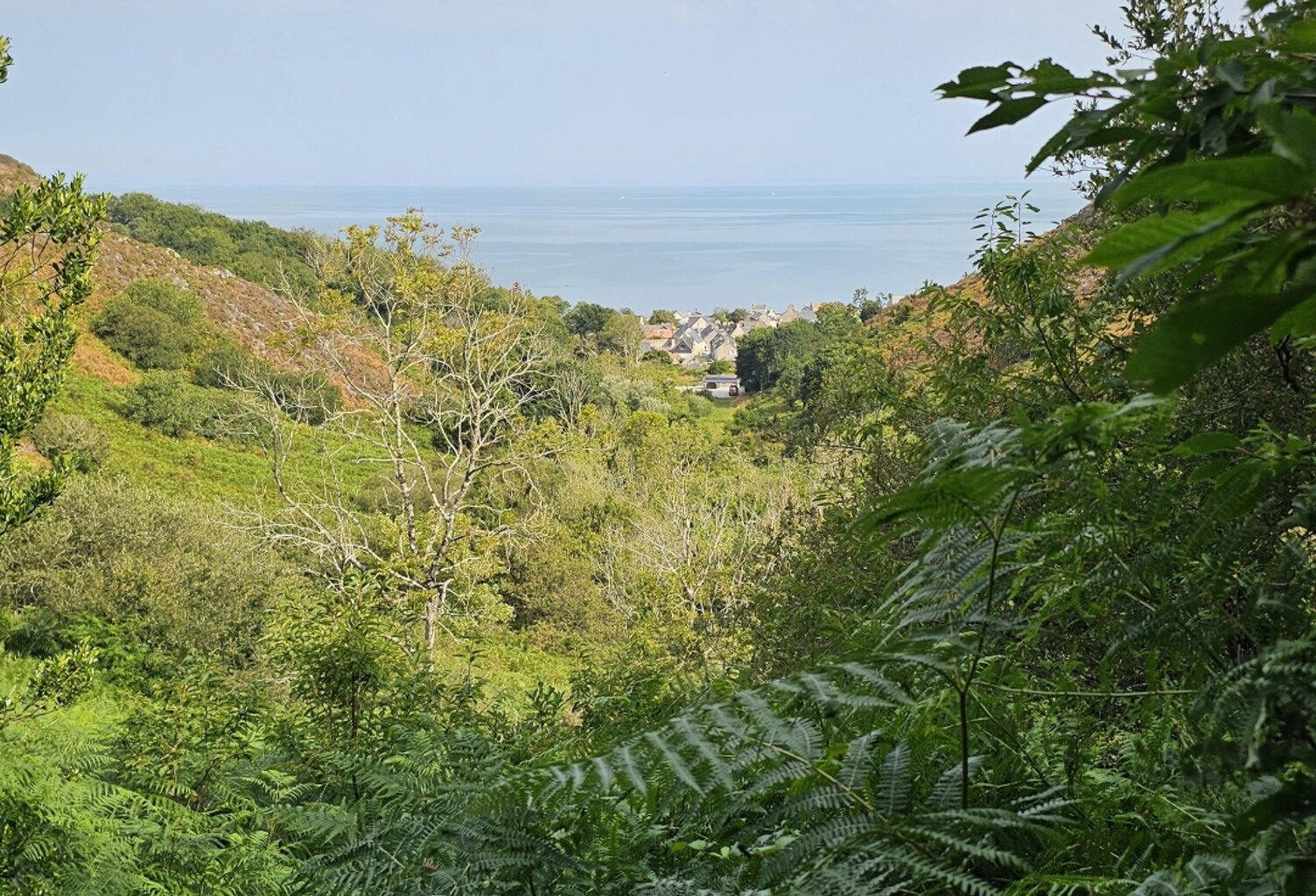 Vente Terrain 4 924 m&sup2; — photo 1