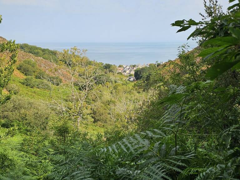 Vente Terrain 4 924 m&sup2; — photo 1