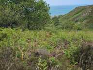 Vente Terrain 4 924 m&sup2; — photo 2