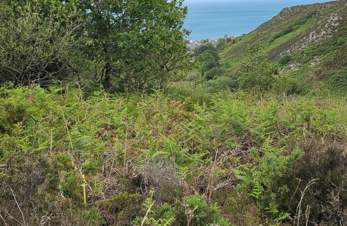 Vente Terrain 4 924 m&sup2; — photo 2