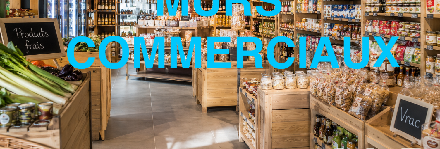 Commerce  110 m² à vendre à Betton (35830)