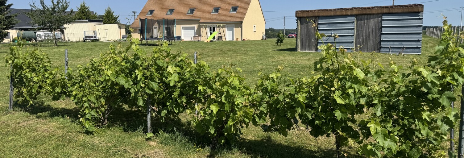 Maison 10 Pièces 242 m² à vendre à Pruillé-l'Éguillé (72150)
