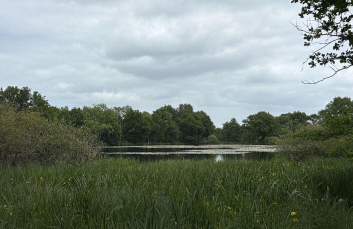 Vente terrain  115 m² Migné (36800) — photo 4