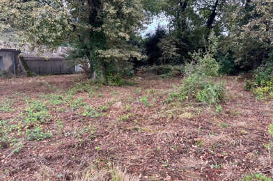 Terrain  54600 €