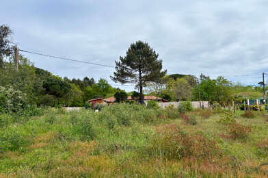 Terrain  84800 €
