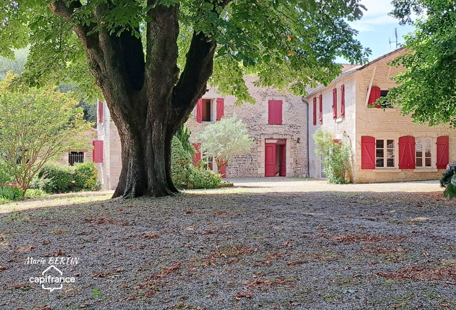 Propriété à vendre 11 pièces CELLES SUR BELLE (79) — photo 1