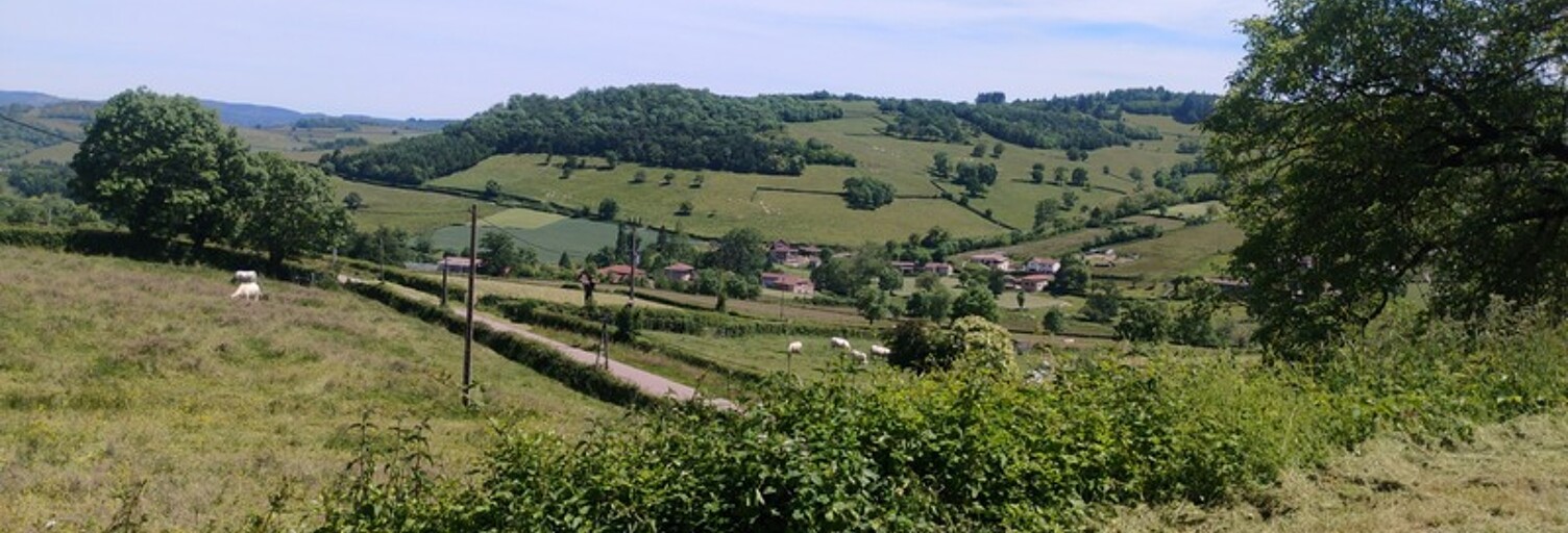Photo N° 2