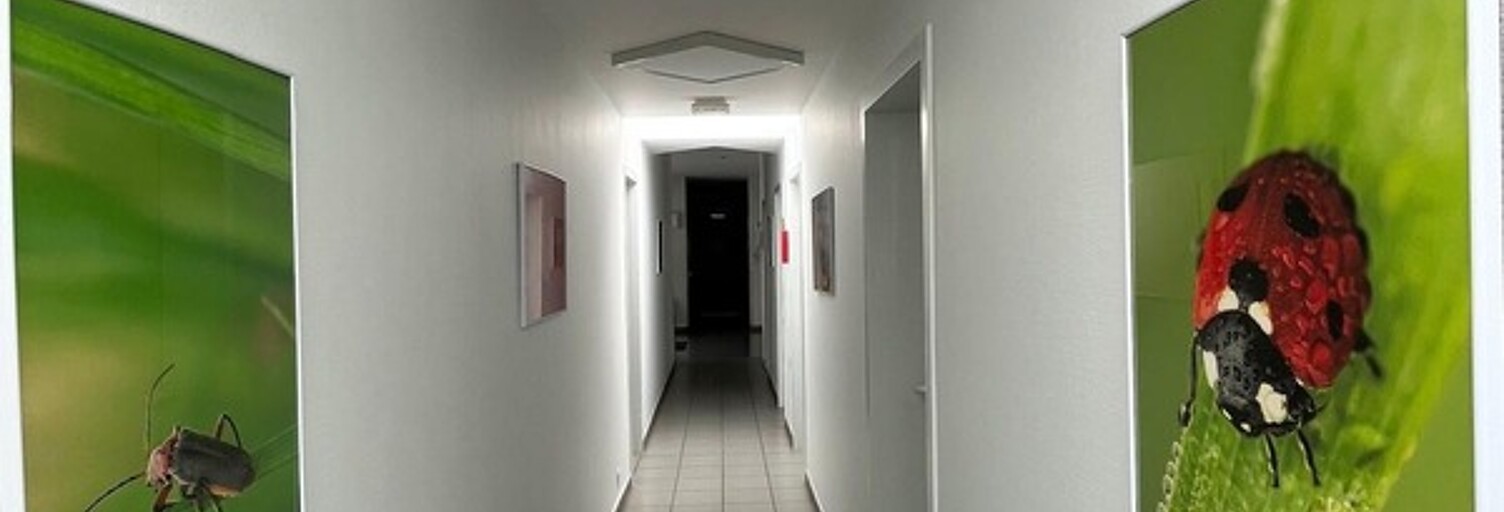Photo N° 2