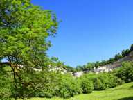 Terrain à bâtir sur une parcelle de 3950 m2 à vendre à Cormot VAUCHIGNON (21) — photo 2