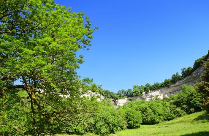 Terrain à bâtir sur une parcelle de 3950 m2 à vendre à Cormot VAUCHIGNON (21) — photo 2