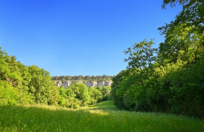 Terrain à bâtir sur une parcelle de 3950 m2 à vendre à Cormot VAUCHIGNON (21) — photo 5