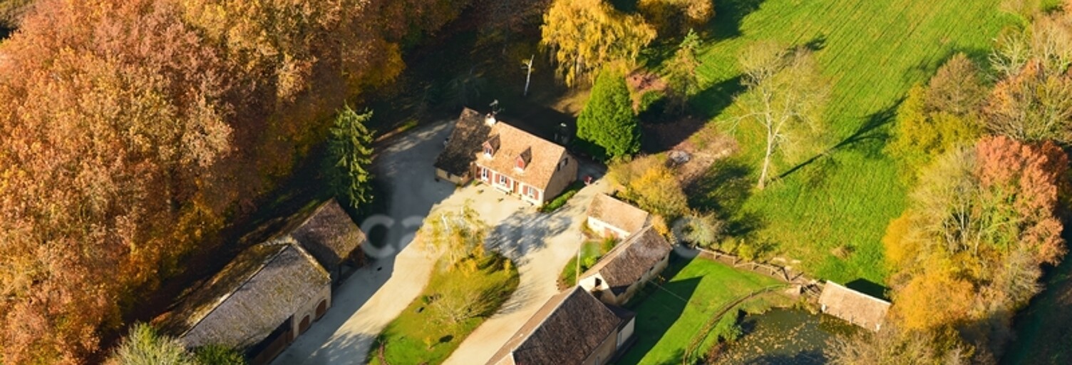 Maison 10 Pièces 360 m² à vendre à Courcemont (72110)