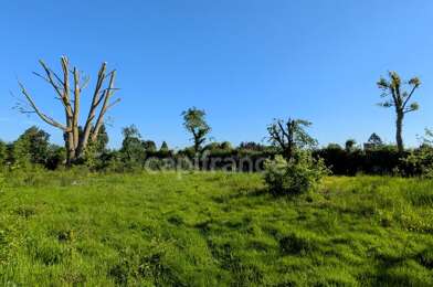 Terrain  239000 €
