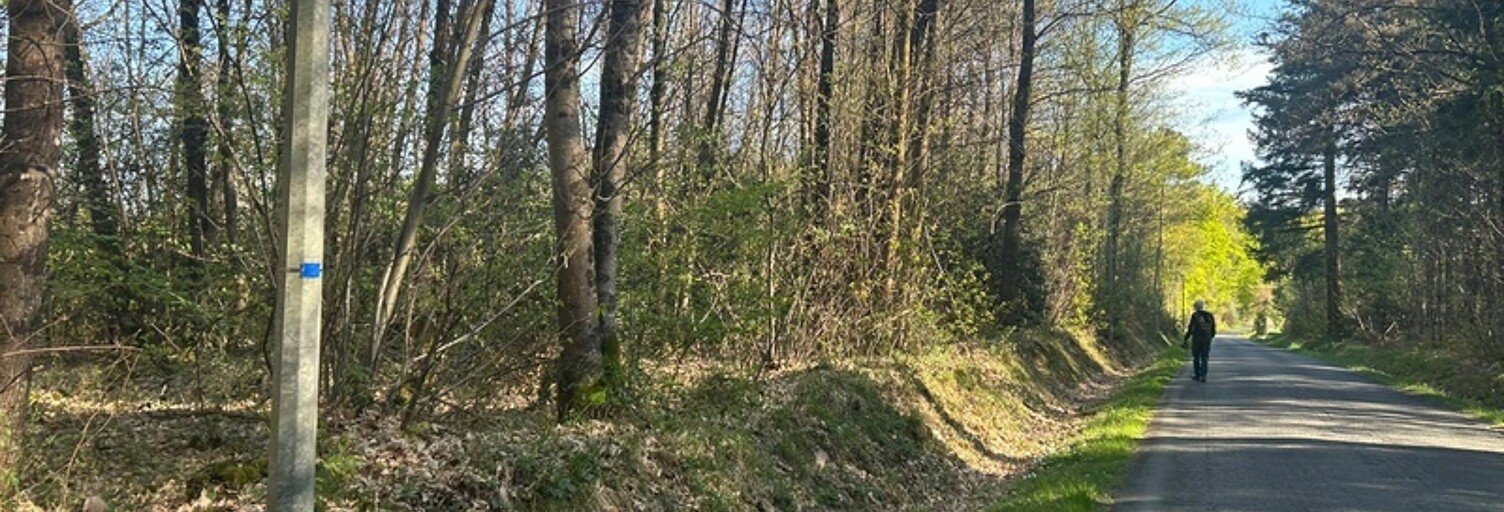 Photo N° 2