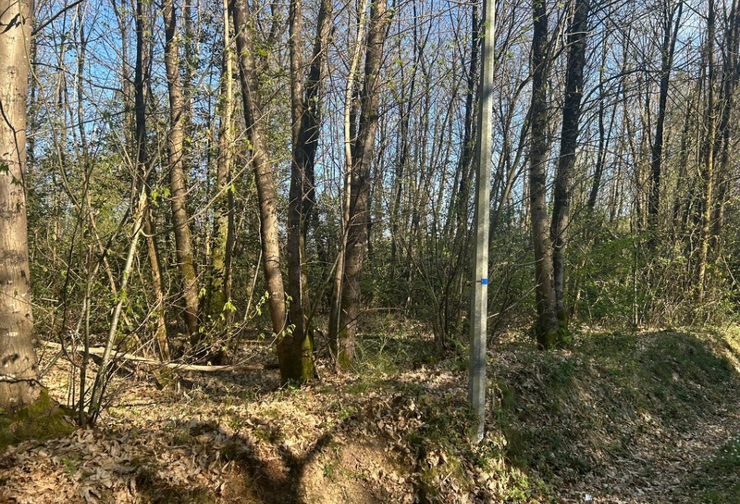 Terrain à vendre  LE VIEIL BAUGE (49) — photo 1