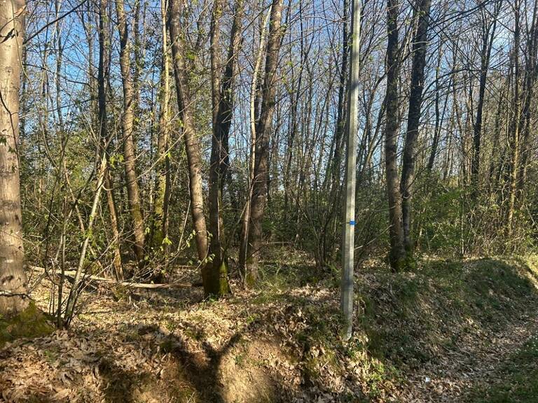 Terrain à vendre  LE VIEIL BAUGE (49) — photo 1