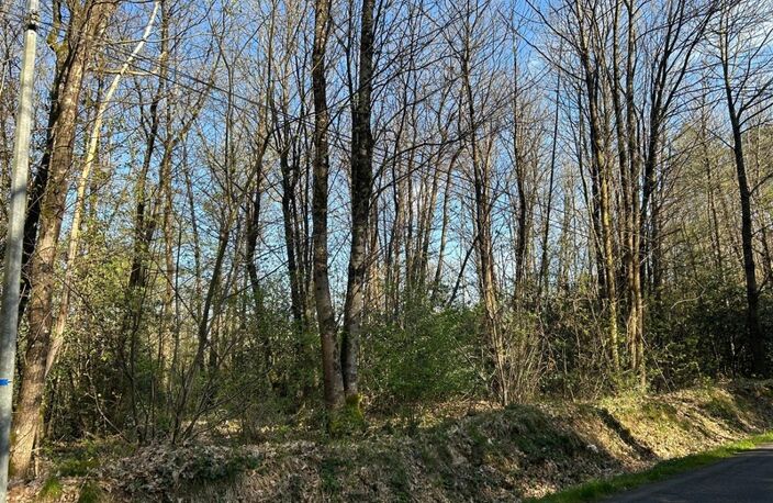Terrain à vendre  LE VIEIL BAUGE (49) — photo 3