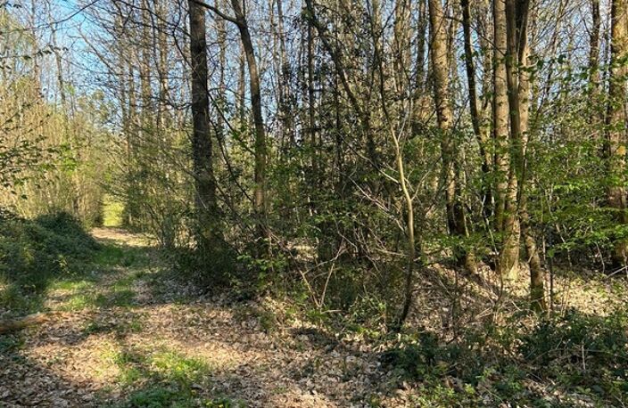 Terrain à vendre  LE VIEIL BAUGE (49) — photo 4