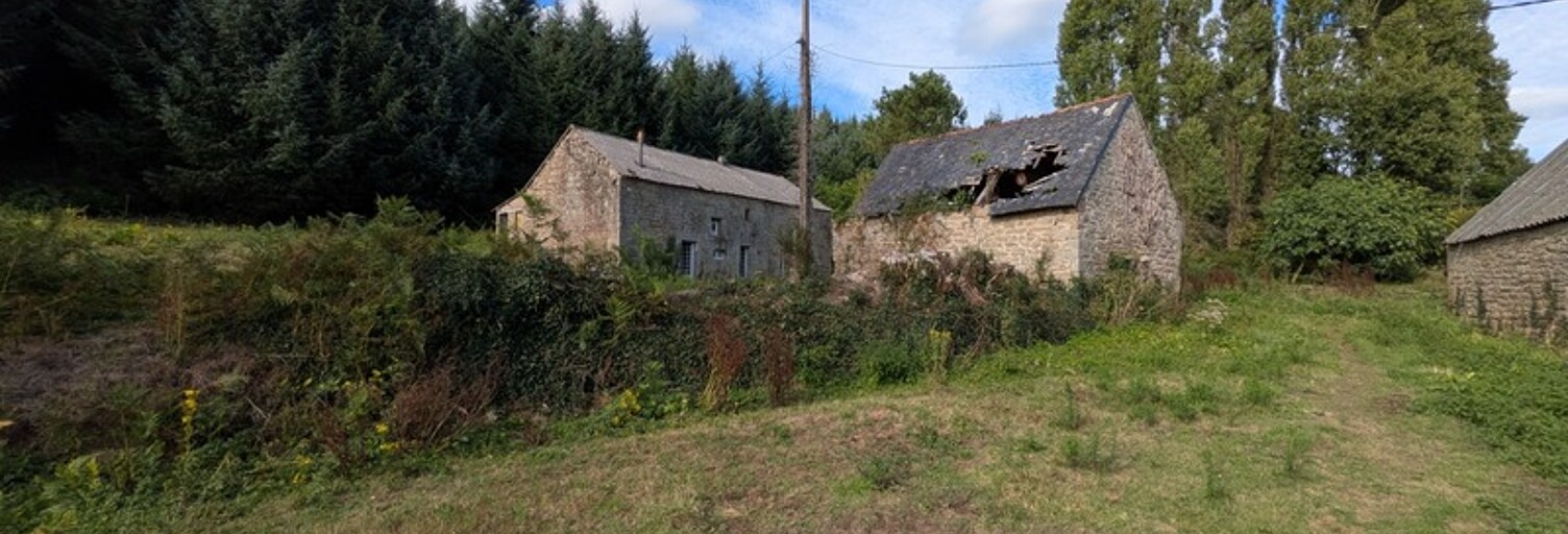 Photo N° 2