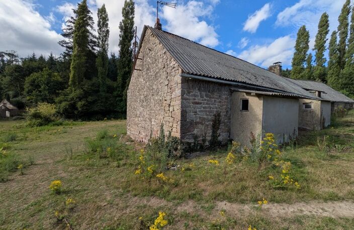 Ensemble de 3 Longères de 430m² au total en pierre a rénover avec appentis et grange parcelle de 8000 m² envrion — photo 4