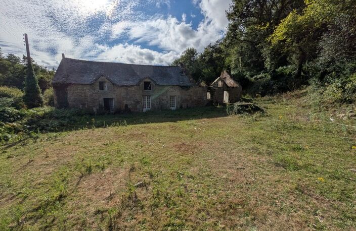 Ensemble de 3 Longères de 430m² au total en pierre a rénover avec appentis et grange parcelle de 8000 m² envrion — photo 5