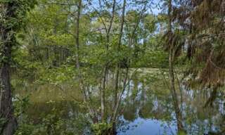 Terrain  827 m² à vendre à Cesson-Sévigné (35510)