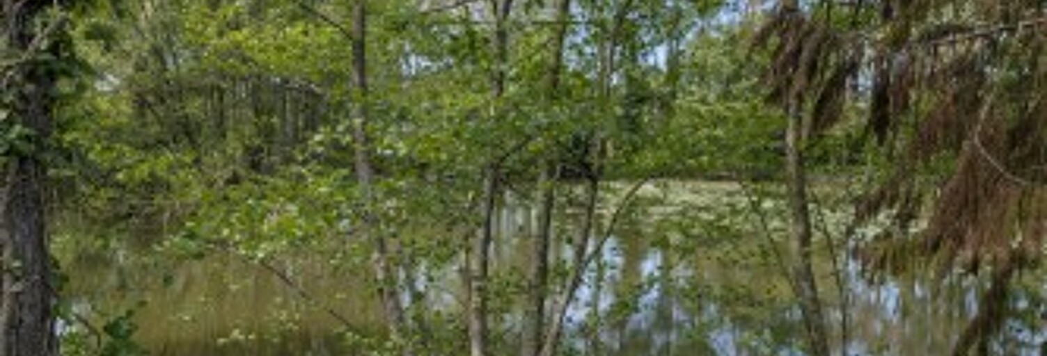 Terrain  827 m² à vendre à Cesson-Sévigné (35510)