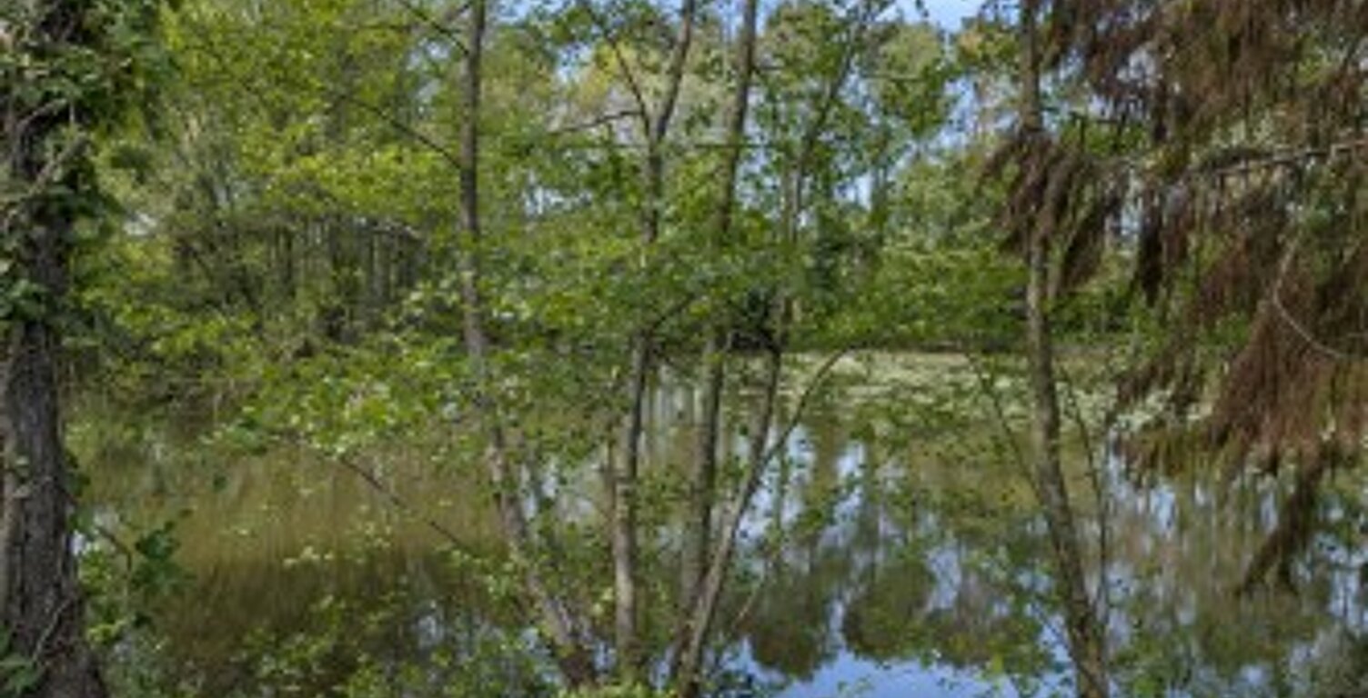 Terrains à bâtir – La Menouriais, Cesson-Sévigné — photo 1
