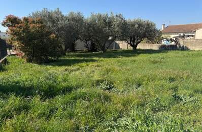 Terrain constructible viabilisé- BEAUCAIRE — photo du bien