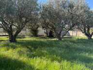 Terrain constructible viabilisé- BEAUCAIRE — photo 2