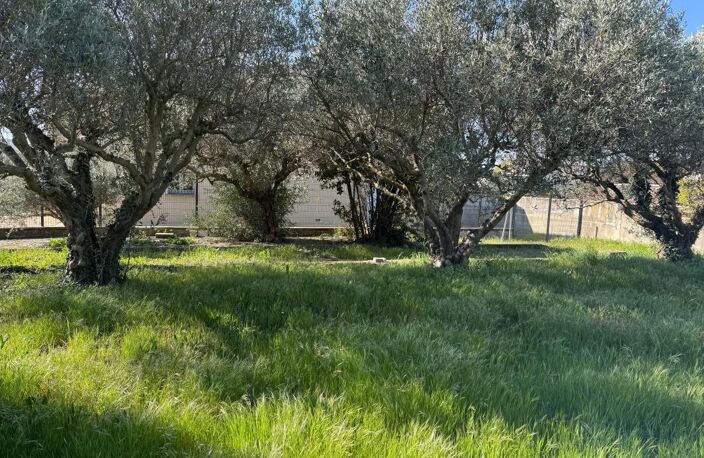 Terrain constructible viabilisé- BEAUCAIRE — photo 2