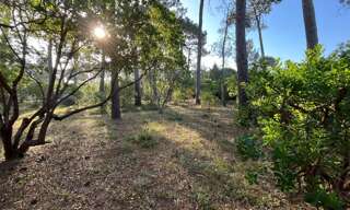 Terrain  1000 m² à vendre à Biscarrosse (40600)