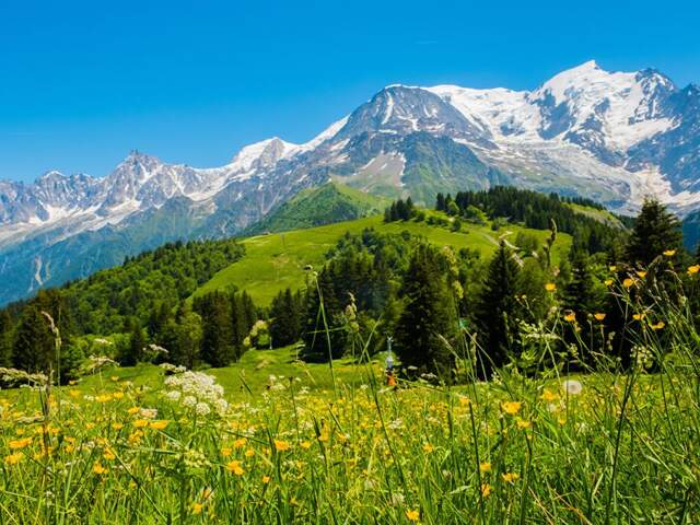 Terrain Les Cluses 831 m2 — photo du bien
