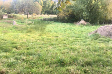 Terrain  42000 €
