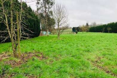 Terrain  45000 €