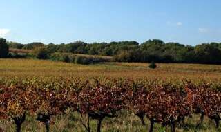 Terrain  512 m² à vendre à La Lande-de-Fronsac (33240)