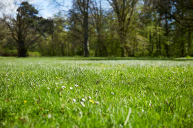 Terrain  55000 €