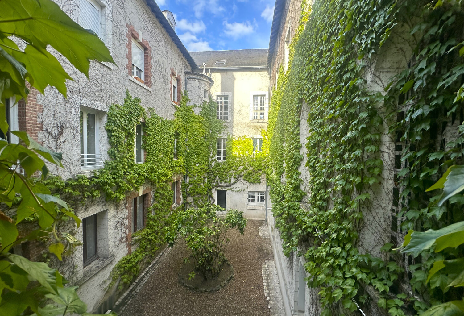 BLOIS - Centre — photo 1