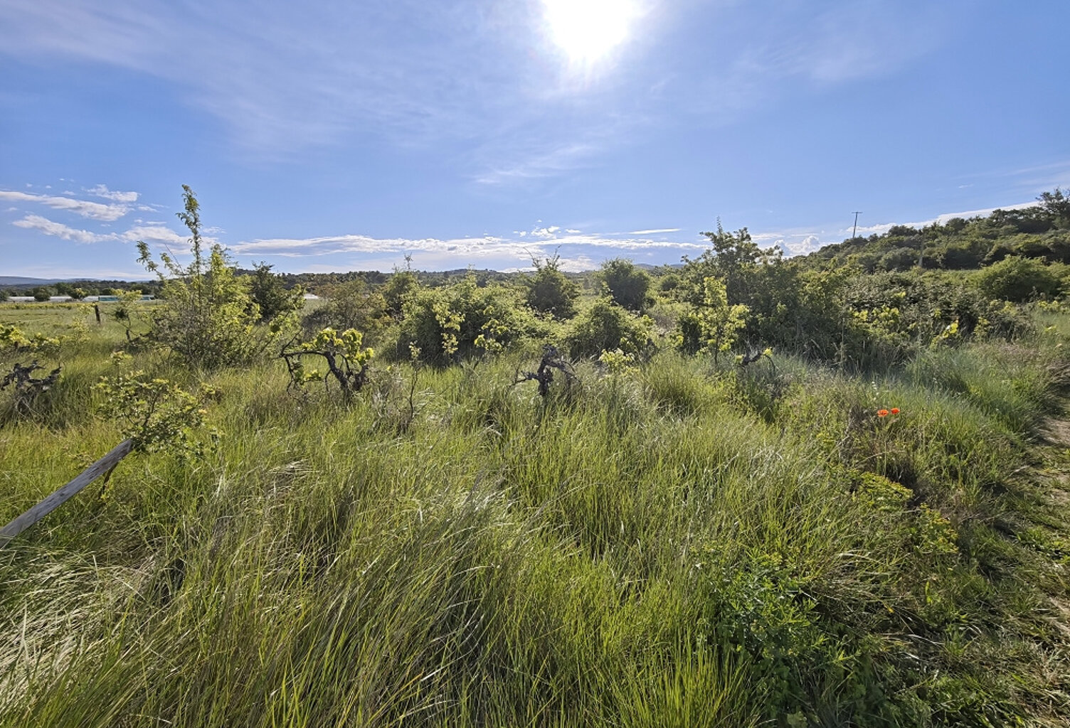 Terrain Agricole — photo 1
