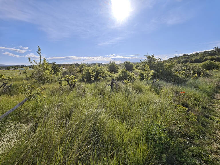Terrain Agricole — photo 1