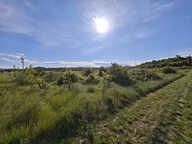Terrain Agricole — photo 2